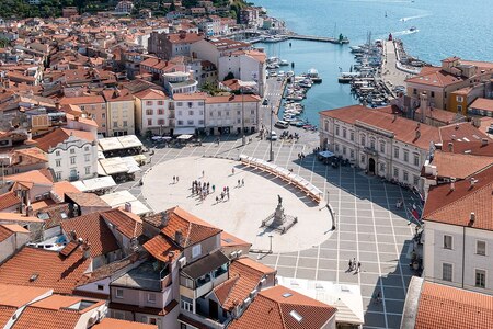 Tartinijev trg