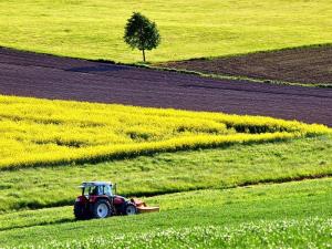 Agrikultura