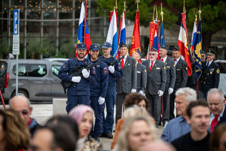 DBP_8741