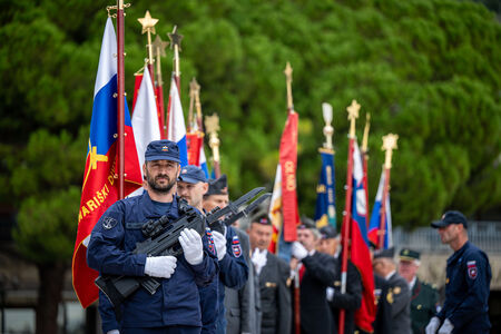 DBP_8753
