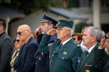 DBP_8806