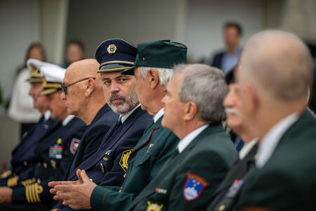 DBP_8603